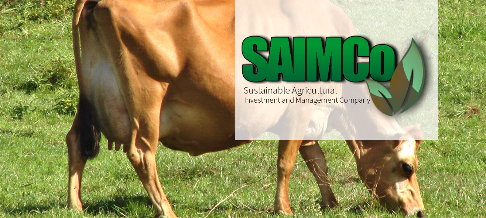 1600x720-saimco-banner-1