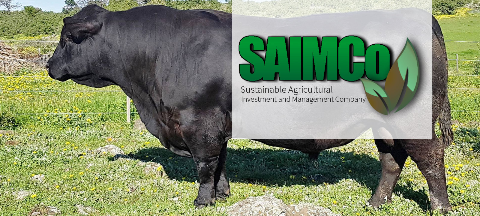 1600x720-saimco-banner-10