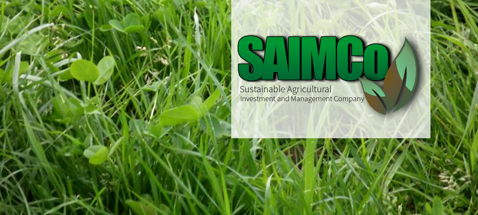 1600x720-saimco-banner-2