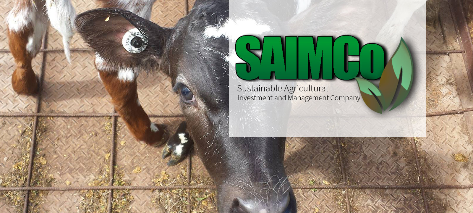 1600x720-saimco-banner-3