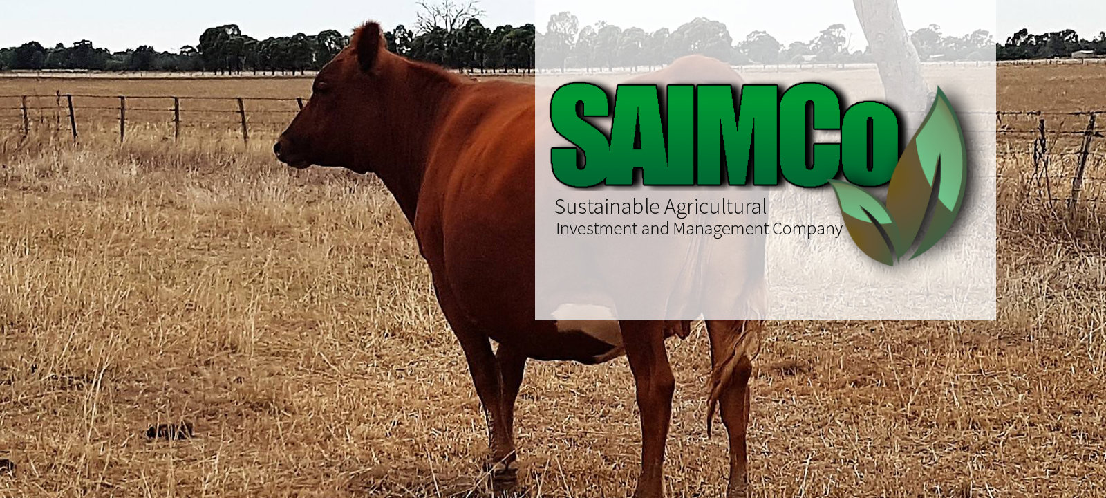 1600x720-saimco-banner-5