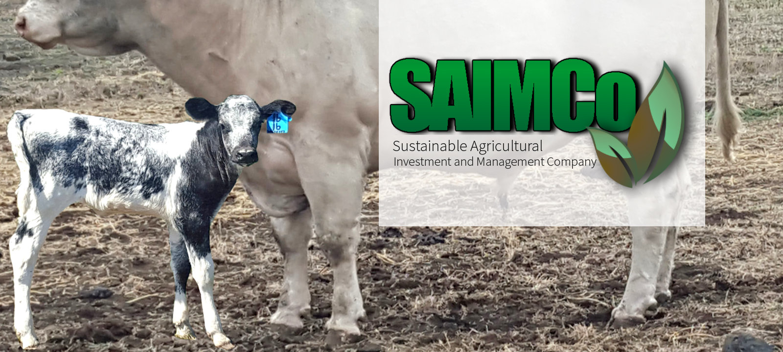1600x720-saimco-banner-6