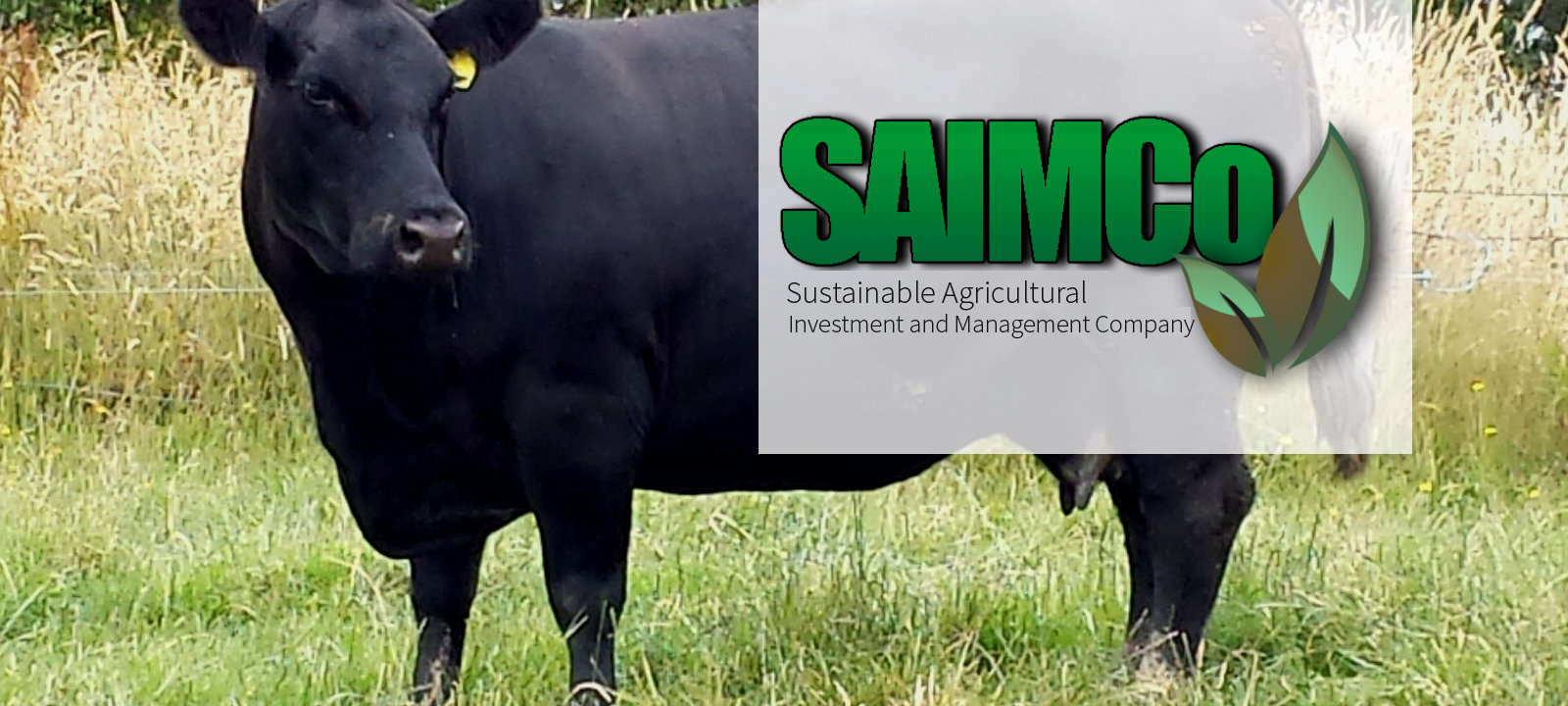 1600x720-saimco-banner-7