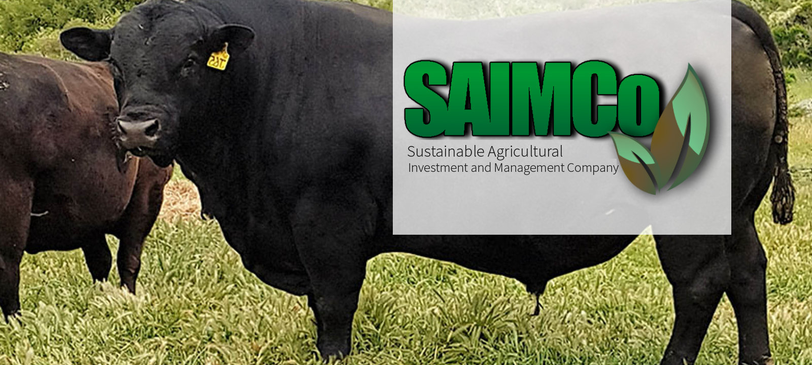 1600x720-saimco-banner-8