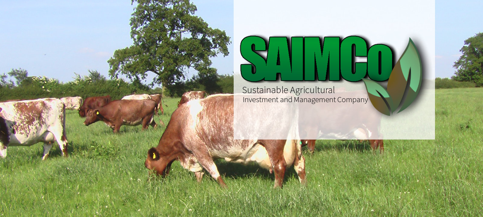 1600x720-saimco-banner-9